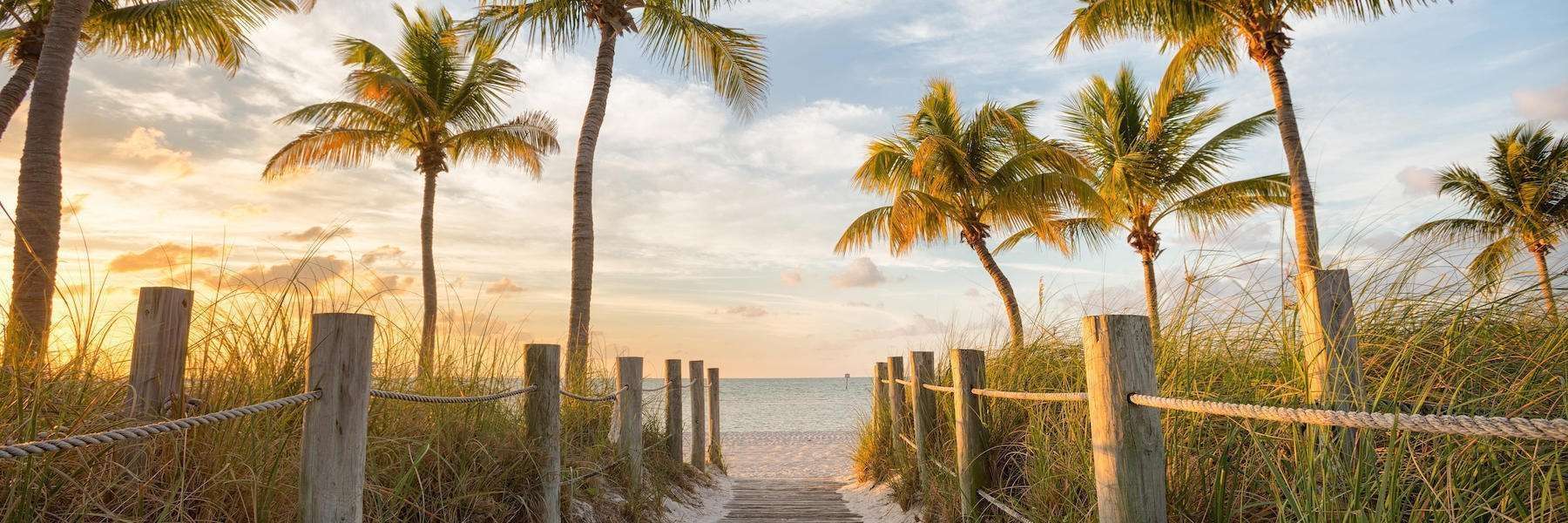 Clear Aligners | Dentist