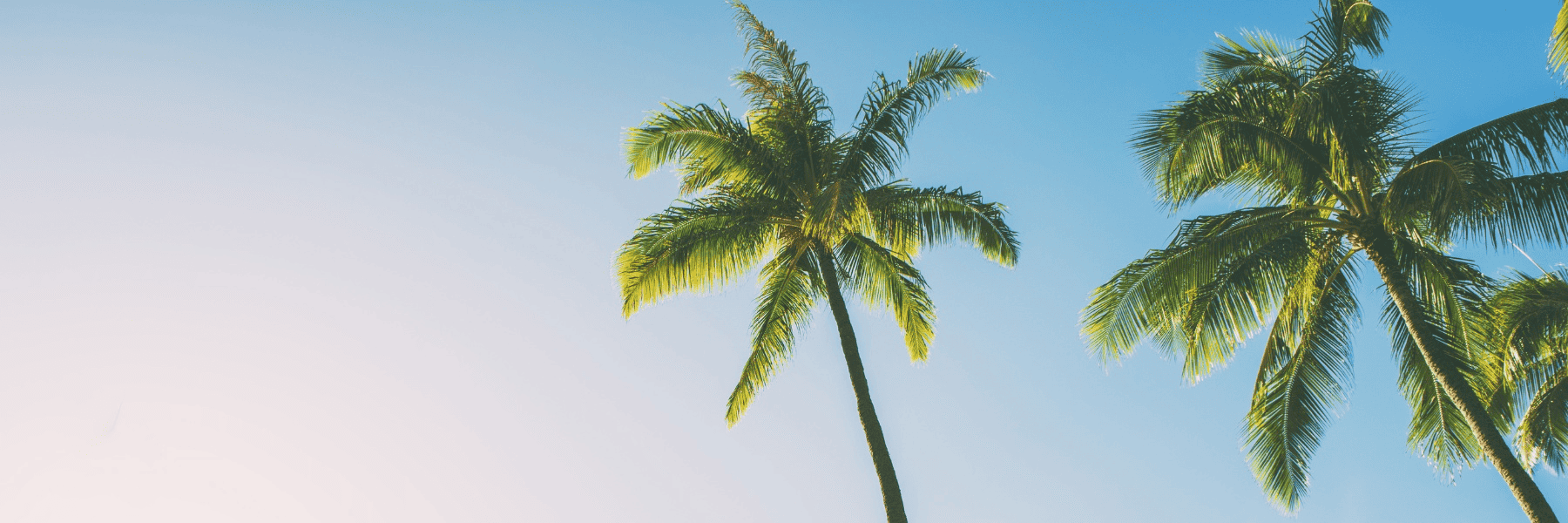 Dental Implants | Dentist