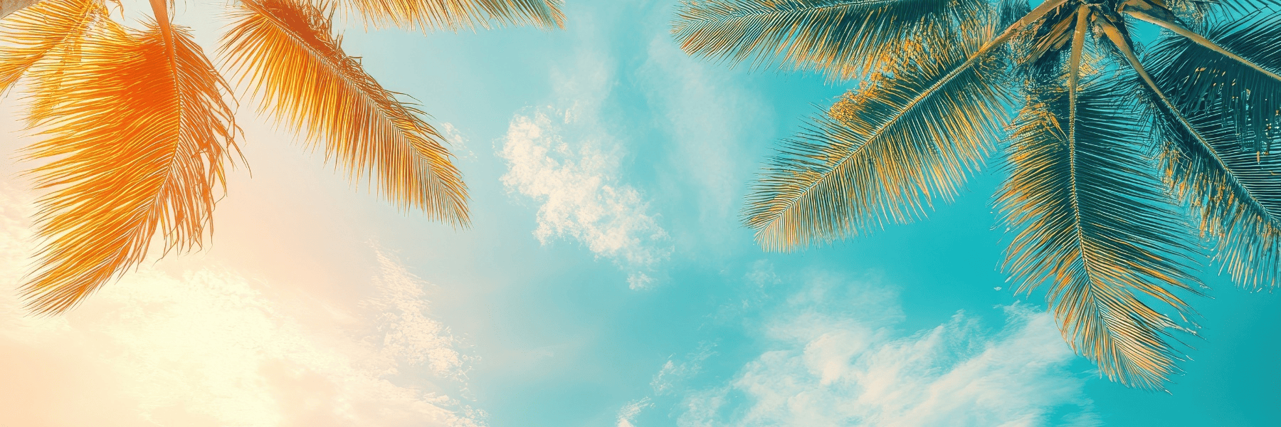 Tooth Extraction | Dentist